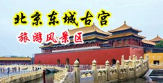 翘臀御姐裸体野外自慰一区二区中国北京-东城古宫旅游风景区